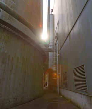 Healthy Matters Day Trbovlje, foto Matjaž Kirn  (17)